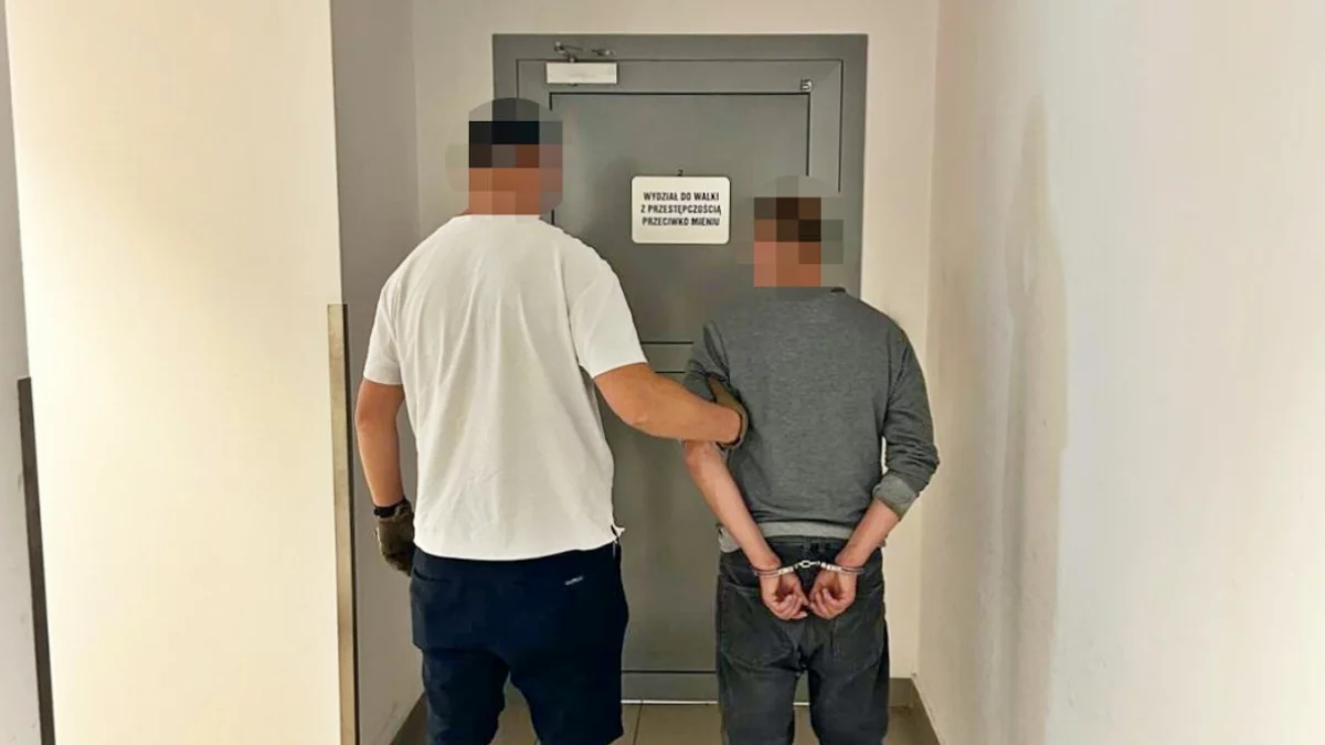 Nocne pożary wiat śmietnikowych. 46-latek usłyszał zarzuty