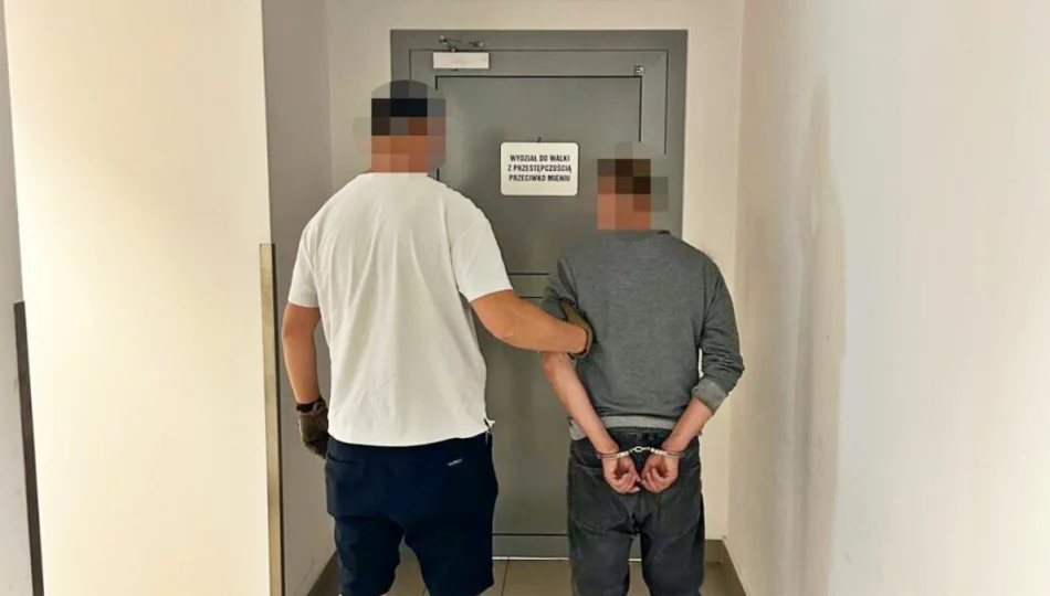 Nocne pożary wiat śmietnikowych. 46-latek usłyszał zarzuty - zdjęcie 1