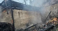 Nocny pożar zabudowań - ewakuowano siedem osób i stado bydła - zdjęcie 4
