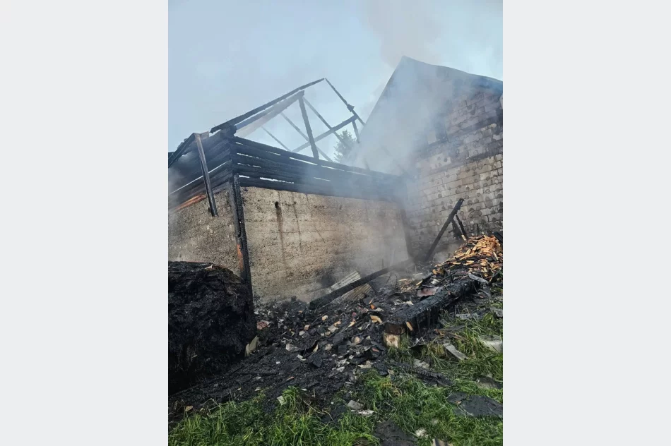Nocny pożar zabudowań - ewakuowano siedem osób i stado bydła - zdjęcie 4