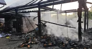 Nocny pożar zabudowań - ewakuowano siedem osób i stado bydła - zdjęcie 5