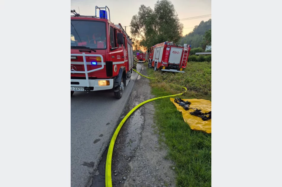 Nocny pożar zabudowań - ewakuowano siedem osób i stado bydła - zdjęcie 9