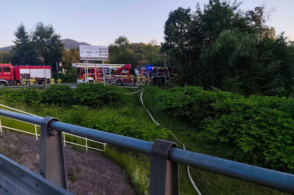 Nocny pożar zabudowań - ewakuowano siedem osób i stado bydła - zdjęcie 11