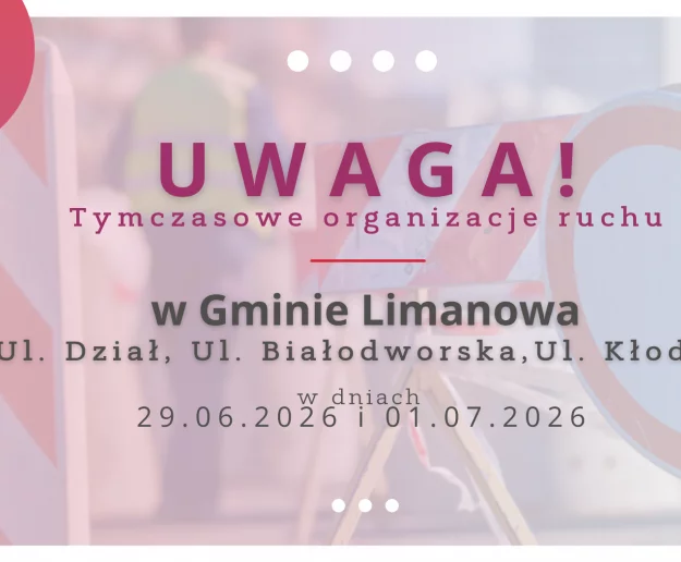 Tymczasowe organizacje ruchu - Zdjęcie główne
