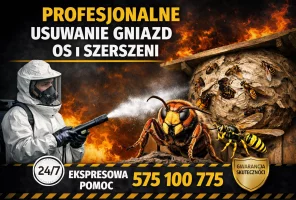Usuwanie gniazd os i szerszeni - zdjęcie główne