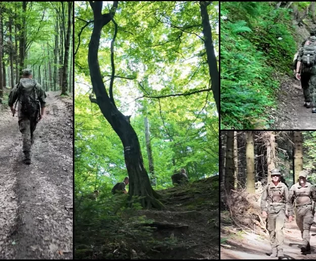 Marsz terytorialsów w Beskidzie Wyspowym  - zdjęcie główne