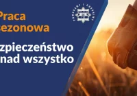 Sezonowy zarobek czy pułapka? Jak nie dać się oszukać pracodawcy  - zdjęcie główne
