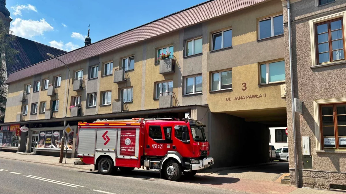 Czujka wezwała strażaków