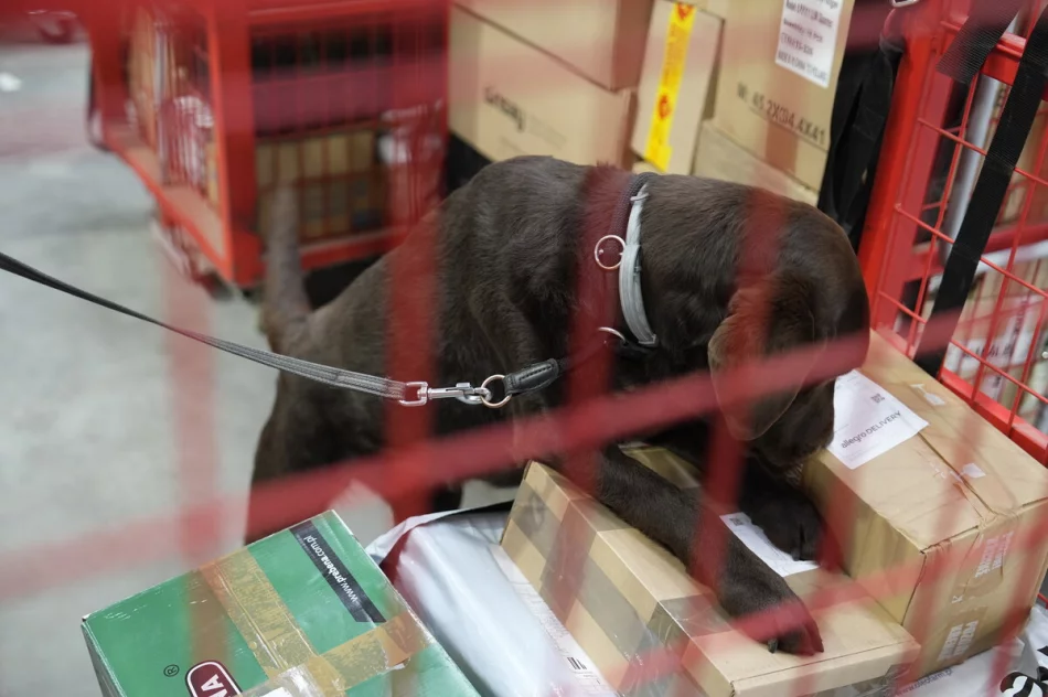 Narkotyki ukryte w kurierskich paczkach. Służby uderzyły w przemytników - zdjęcie 19