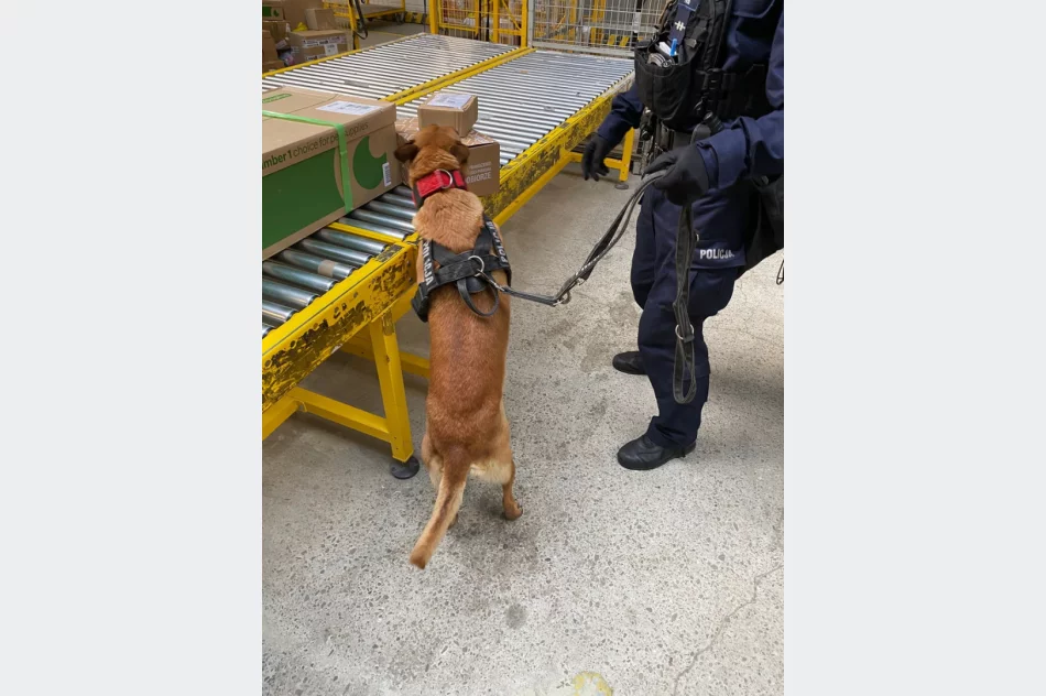 Narkotyki ukryte w kurierskich paczkach. Służby uderzyły w przemytników - zdjęcie 20