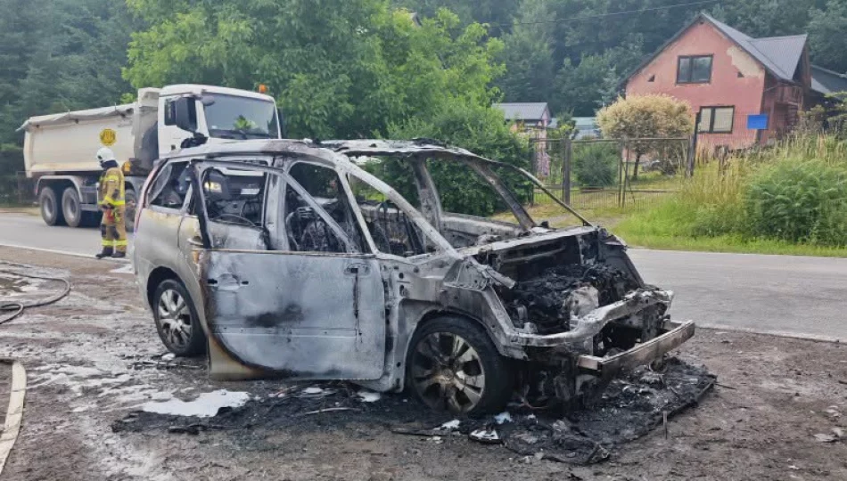 Auto stanęło w płomieniach podczas jazdy - zdjęcie 1