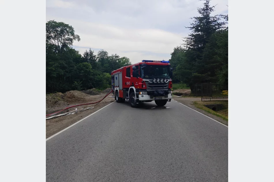 Auto stanęło w płomieniach podczas jazdy - zdjęcie 3