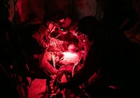 Nocna symulacja i drony - tak wyglądało szkolenie terytorialsów - zdjęcie główne