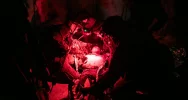Nocna symulacja i drony - tak wyglądało szkolenie terytorialsów - zdjęcie 2