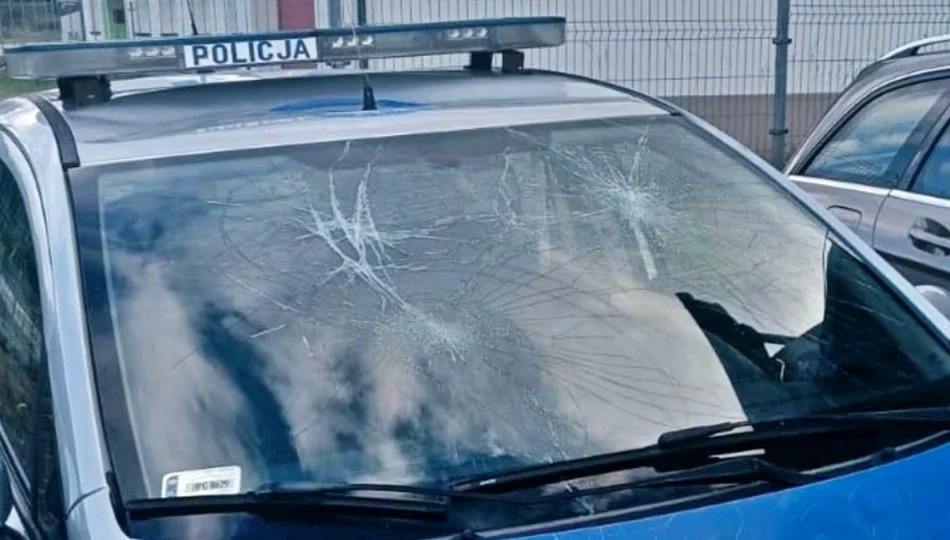 Pijany żołnierz skakał po radiowozach i uszkodził drzwi komisariatu - zdjęcie 1