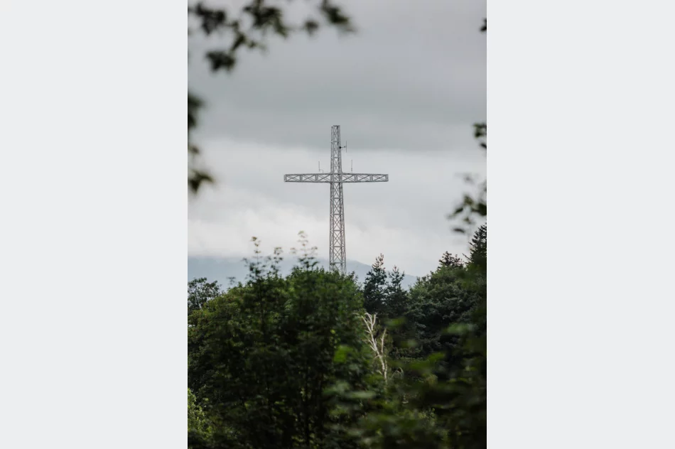 XV Limanowa Forrest 2026 - zdjęcie 1
