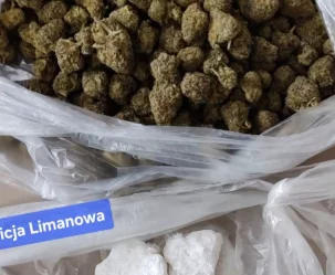 Narkotyki w samochodzie i w domu. 40-latek wpadł podczas kontroli w Mszanie Dolnej - zdjęcie główne