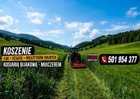 Koszenie łąk, działek, nieużytków rolnych kosiarką bijakową - mulczerem - Zdjęcie główne