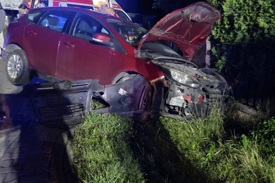 Policja wyjaśnia okoliczności nocnej kolizji - zdjęcie 3
