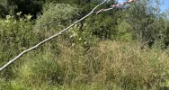 Pułapka na ścieżce w Tymbarku. Taśma naklejona, problem rozwiązany? - zdjęcie 3
