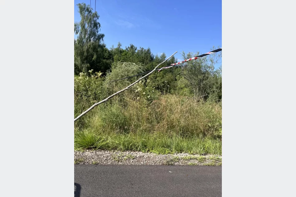Pułapka na ścieżce w Tymbarku. Taśma naklejona, problem rozwiązany? - zdjęcie 3