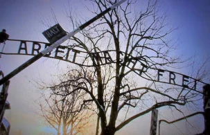 Skandaliczny gest w Auschwitz. Kolumbijczyk dobrowolnie poddał się karze - zdjęcie główne