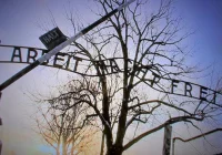 Skandaliczny gest w Auschwitz. Kolumbijczyk dobrowolnie poddał się karze - zdjęcie główne