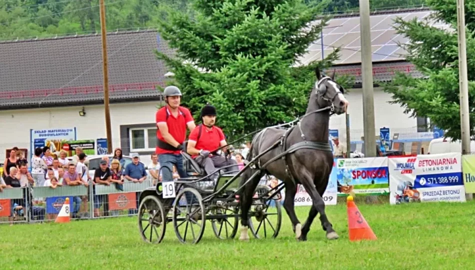 Konie, zaprzęgi i tradycja  - zdjęcie 1