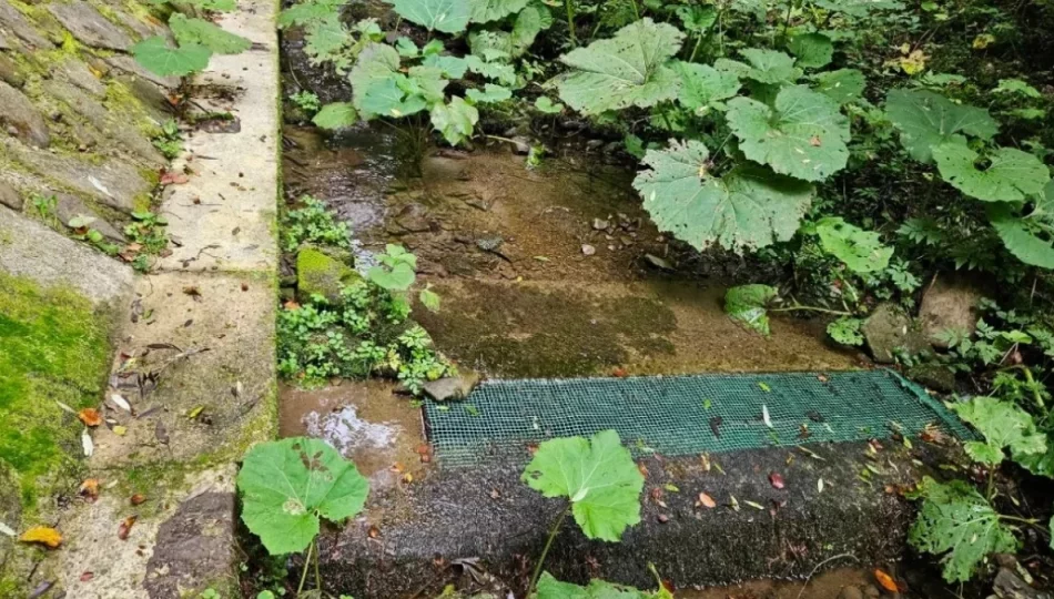 Awarie i susza dają się we znaki. Problem z wodą powraca - zdjęcie 1