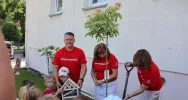 „Zielona Przystań Limanowa” – wspólnie zazieleniliśmy limanowski rynek - zdjęcie 3