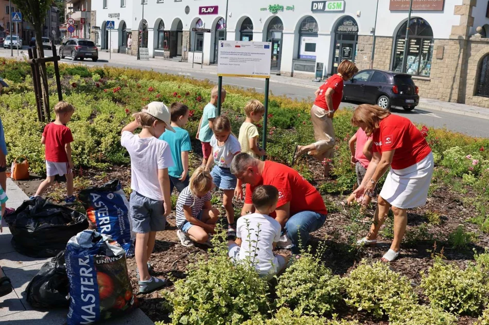 „Zielona Przystań Limanowa” – wspólnie zazieleniliśmy limanowski rynek - zdjęcie 16