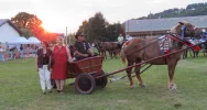 Za nami Galicyjski Konkurs Powożenia (ZDJĘCIA) - zdjęcie 4