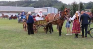 Za nami Galicyjski Konkurs Powożenia (ZDJĘCIA) - zdjęcie 5