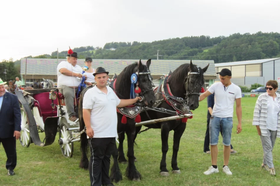 Za nami Galicyjski Konkurs Powożenia (ZDJĘCIA) - zdjęcie 10