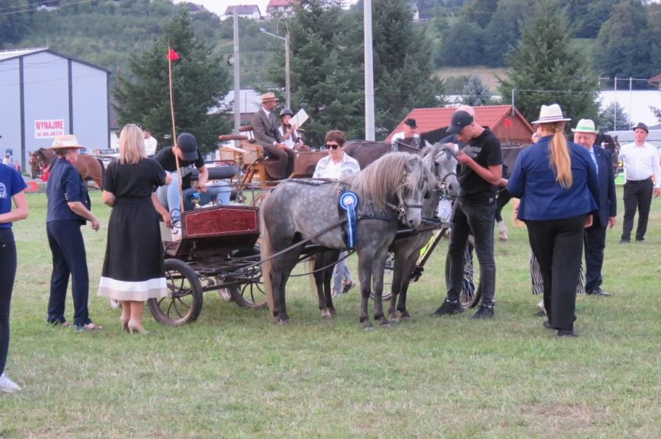 Za nami Galicyjski Konkurs Powożenia (ZDJĘCIA) - zdjęcie 11