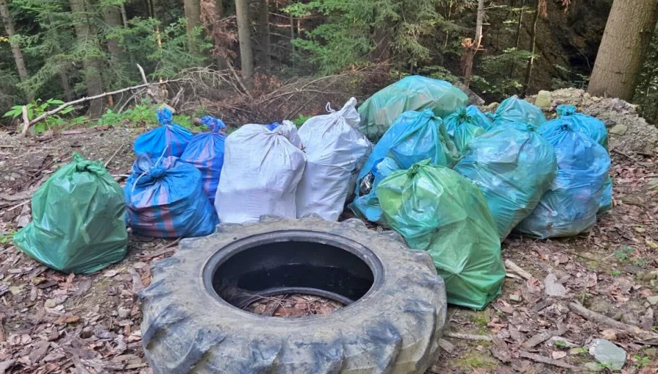 Porzucone opony i worki śmieci w lasach. Nadleśnictwo sprząta dzikie wysypiska - zdjęcie 1