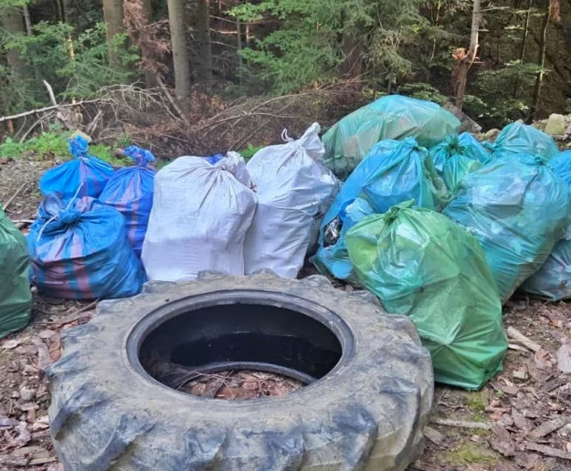 Porzucone opony i worki śmieci w lasach. Nadleśnictwo sprząta dzikie wysypiska - zdjęcie główne