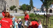 Przedszkolaki i urzędnicy sadzili rośliny - zdjęcie 3