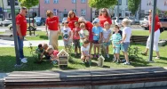 Przedszkolaki i urzędnicy sadzili rośliny - zdjęcie 5