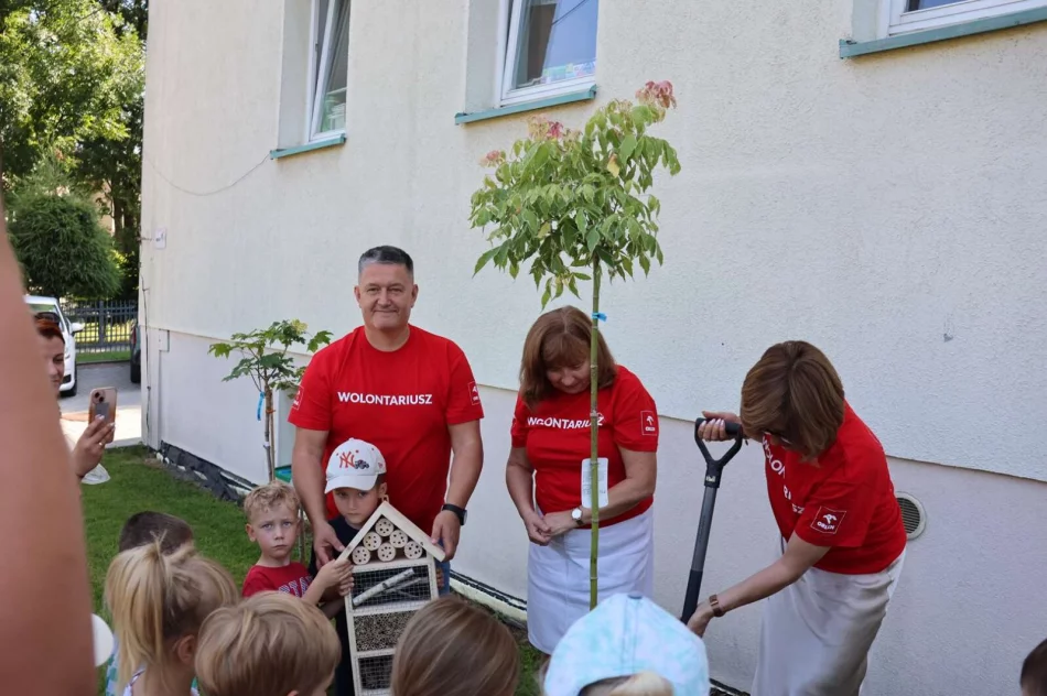 Przedszkolaki i urzędnicy sadzili rośliny - zdjęcie 9