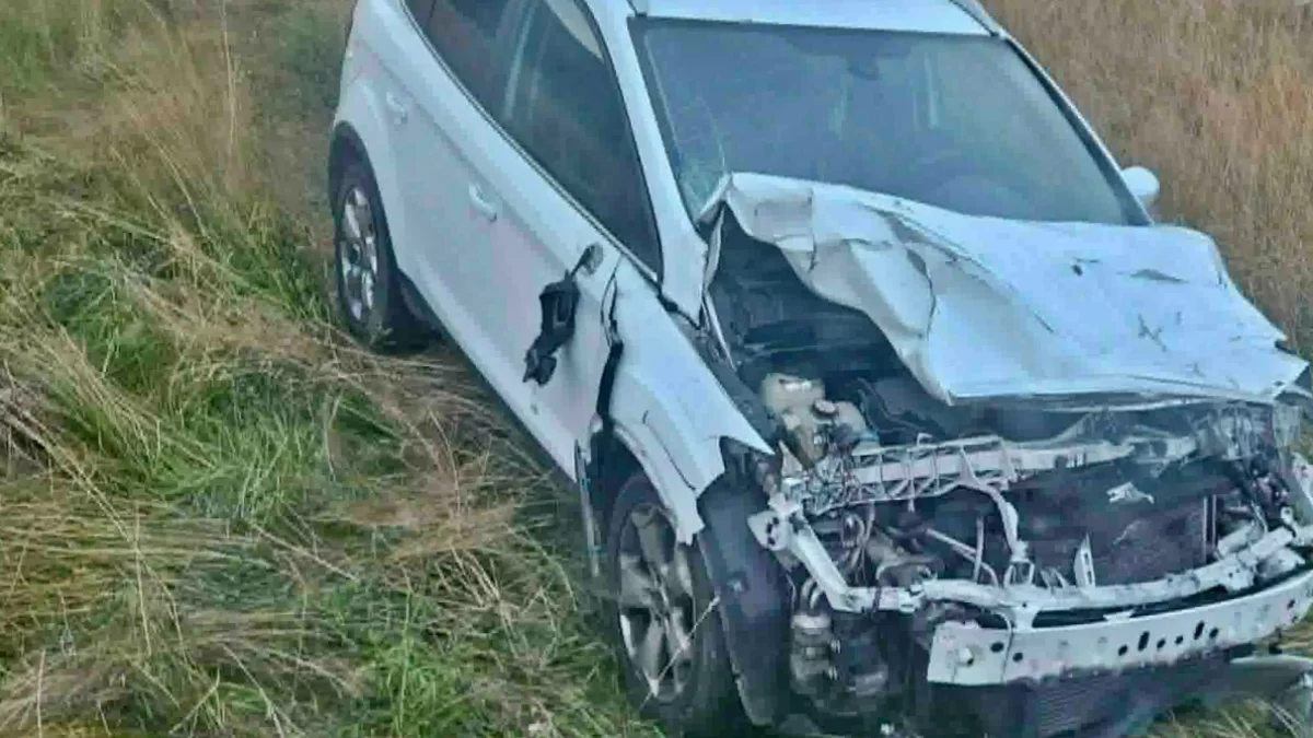 Ford uderzył w dwie krowy, które wtargnęły na DK 28 (WIDEO)