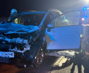 Ford uderzył w dwie krowy na DK 28 (WIDEO) - zdjęcie główne
