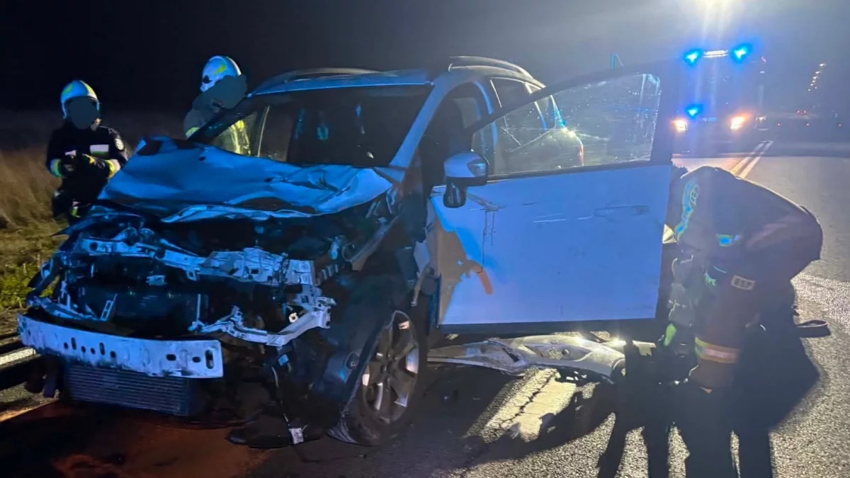 Ford uderzył w dwie krowy na DK 28 (WIDEO)