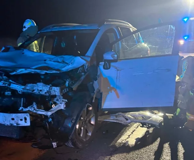 Ford uderzył w dwie krowy na DK 28 (WIDEO) - zdjęcie główne