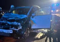 Ford uderzył w dwie krowy na DK 28 (WIDEO) - zdjęcie główne