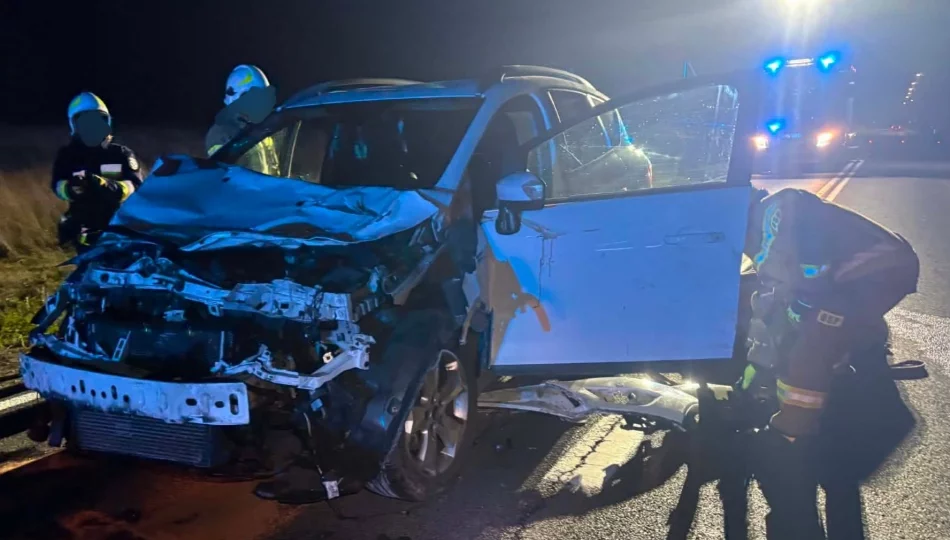Ford uderzył w dwie krowy na DK 28 (WIDEO) - zdjęcie 1