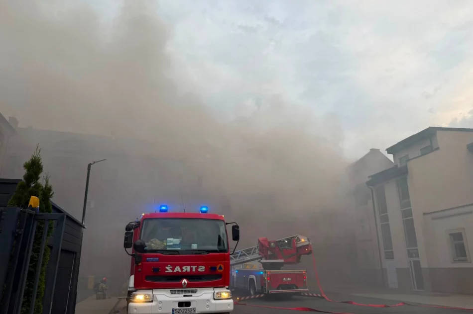 Najpierw hala, później kamienica. Dwa duże pożary w tej samej firmie - zdjęcie 8