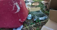Zamiast niedzielnego obiadu - sprzątanie lasu i 1000 zł mandatu - zdjęcie 2