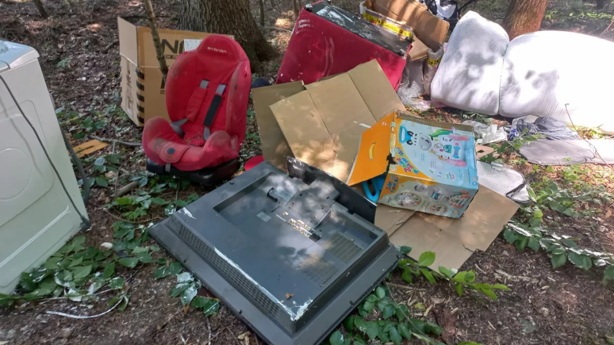 Zamiast niedzielnego obiadu - sprzątanie lasu i 1000 zł mandatu