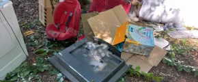 Zamiast niedzielnego obiadu - sprzątanie lasu i 1000 zł mandatu - zdjęcie główne